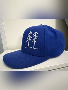 Classic Yupoong Snapback Hat - Embroided Double Pine Tree